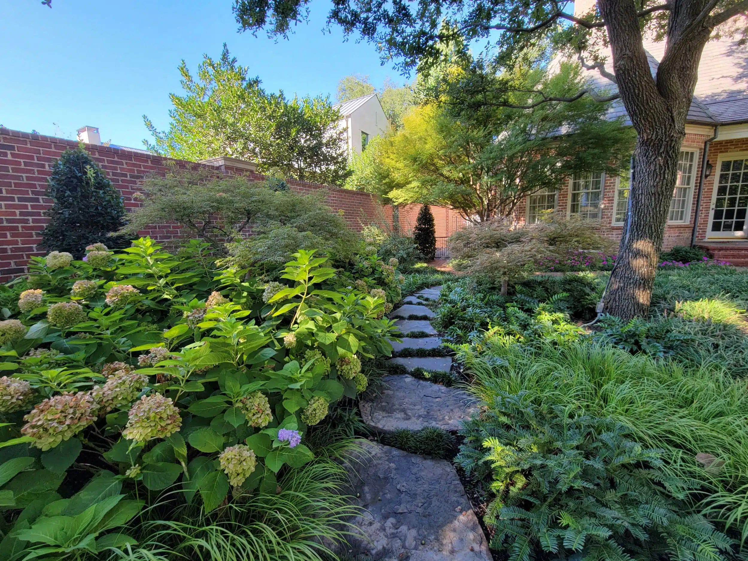 Professional Landscaping in Arlington